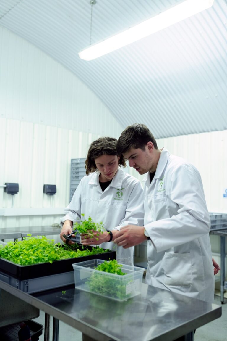 2 men in white dress shirt holding green plant